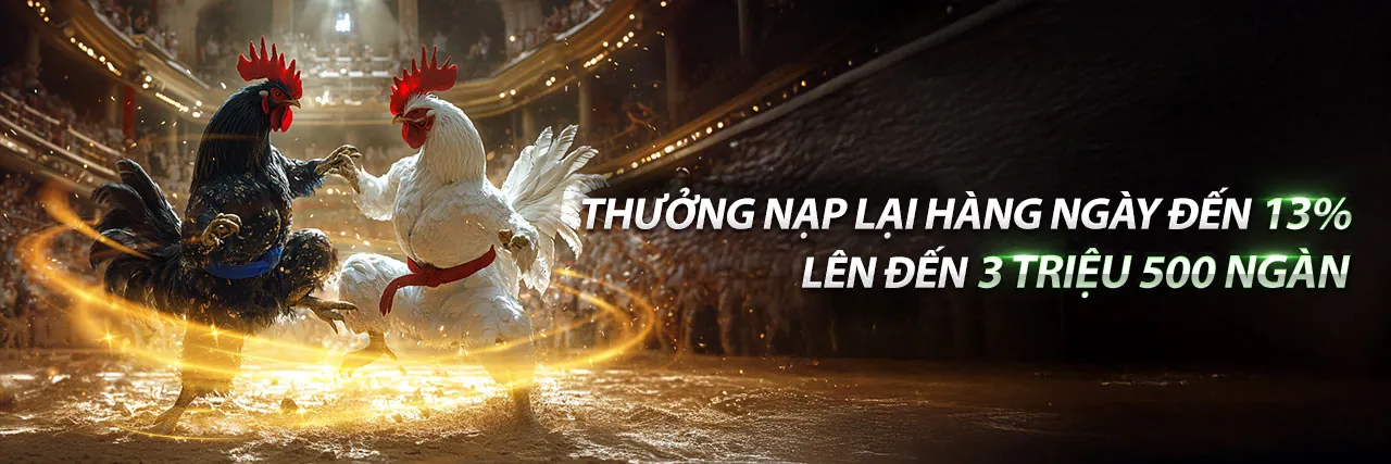Banner khuyến mãi cá cược