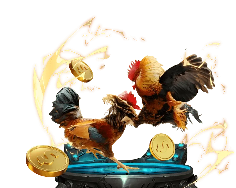 Quản lý ngân sách cá cược